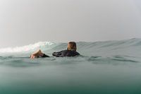 Paddle III