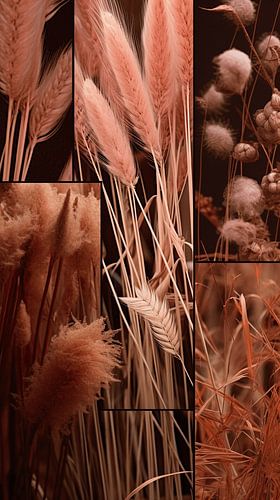 Shiny Ornamental Grass and Sunny Plumes | A Timeless Natural Beauty