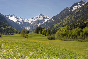 Frühlingstraum im Trettachtal