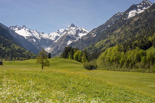 Spring dream in the Trettachtal by Walter G. Allgöwer