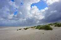 Verlassener Strand mit Wolken von Folkert Jan Wijnstra Miniaturansicht