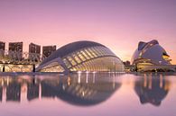 Sunset Valencia by Sander Groenendijk thumbnail