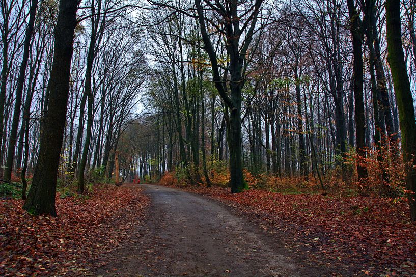 Wandelpad uitzicht 2 van Edgar Schermaul