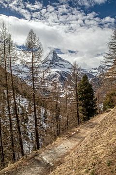 Zermatt - Chemin de Findeln (chemin des gourmets) sur t.ART