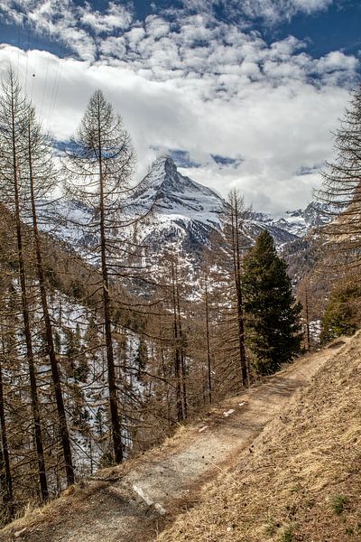 Zermatt - Path to Findeln (Gourmet Path) by t.ART