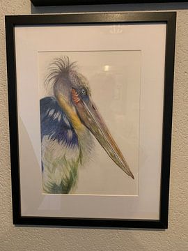 Oiseau séparé sur Corrieart