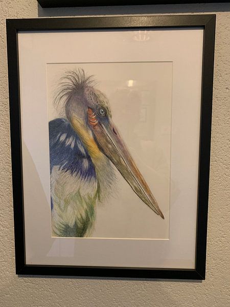 Getrennter Vogel von Corrieart