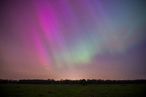 Noorderlicht in Nederland