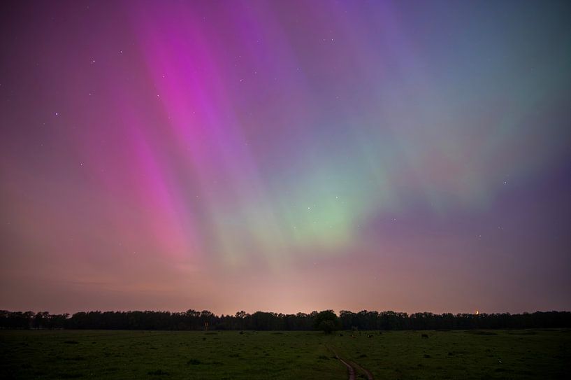 Northern lights in the Netherlands by Wendy van der Klift-Bartelings