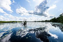 Naturschutzgebiet Weerribben