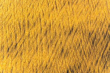 abstracte structuur in zand op strand van Dieter Walther