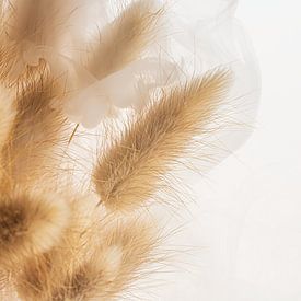 Dried flowers: Plumes in a veil of white smoke by Marjolijn van den Berg