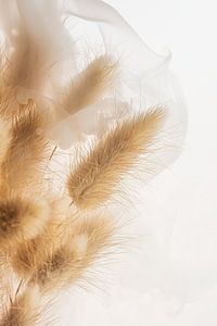 Trockenblumen: Federn in einem Schleier aus weißem Rauch