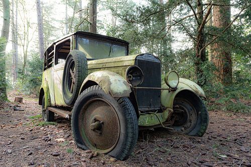 Green Oldtimer in the Woods