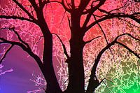 Tree in red, purple and green