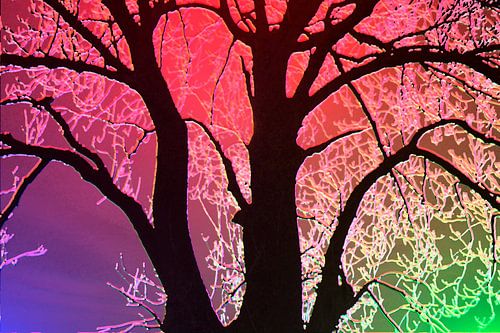 Tree in red, purple and green by Adriana Zoon