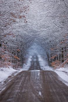 Stuplselaan Lage Vuursche