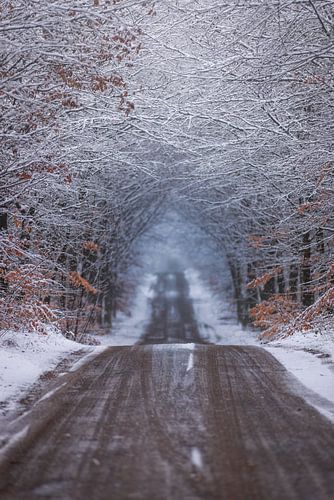 Stuplselaan Lage Vuursche
