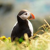 Naomi Ruis Fotografie Profilfoto