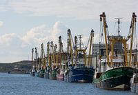 Fischerboote, die am Sonntag in IJmuiden festgemacht haben.