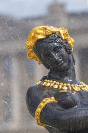 Silent Goddess in the Rainlight by Walter G. Allgöwer