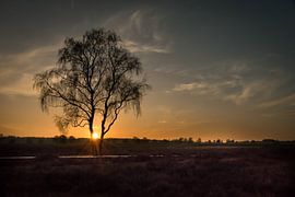 Zonsondergang op de heide van Gerard Bos