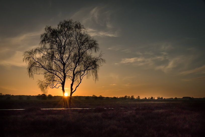 Zonsondergang op de heide von Gerard Bos