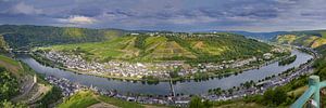 Panorama de la Moselle sur Walter G. Allgöwer