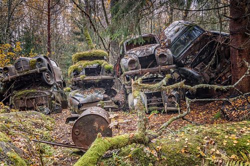 Roestige erfenissen in het bos - autokerkhof in Zweden
