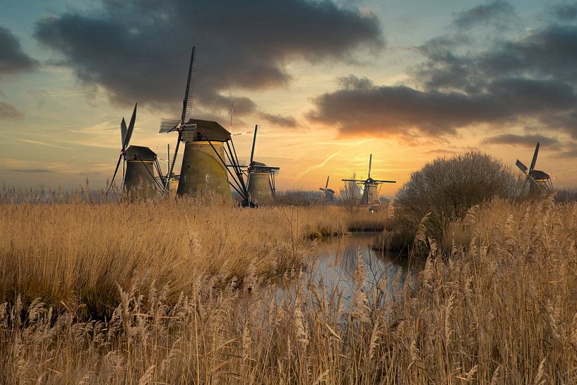 Mühlen in Kinderdijk Niederlande von Gert Hilbink