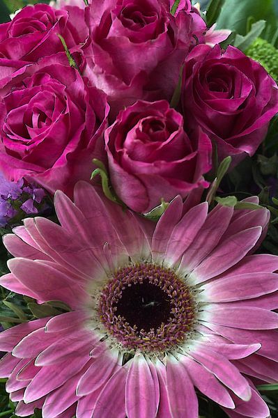 Flowers 2 van Edgar Schermaul
