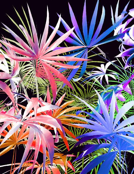 Feuillage tropical par Angel Estevez