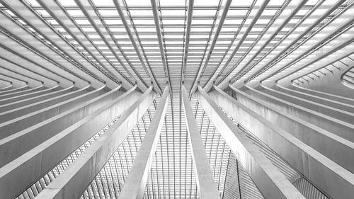 Liege-Guillemins railway station