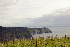 The Cliffs of Moher are the most famous cliffs in Ireland.