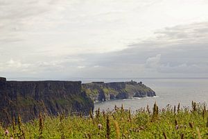 Die Cliffs of Moher sind die bekanntesten Klippen in Irland.