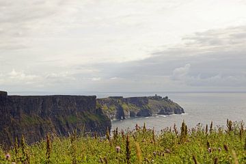 De Kliffen van Moher zijn de beroemdste kliffen van Ierland.