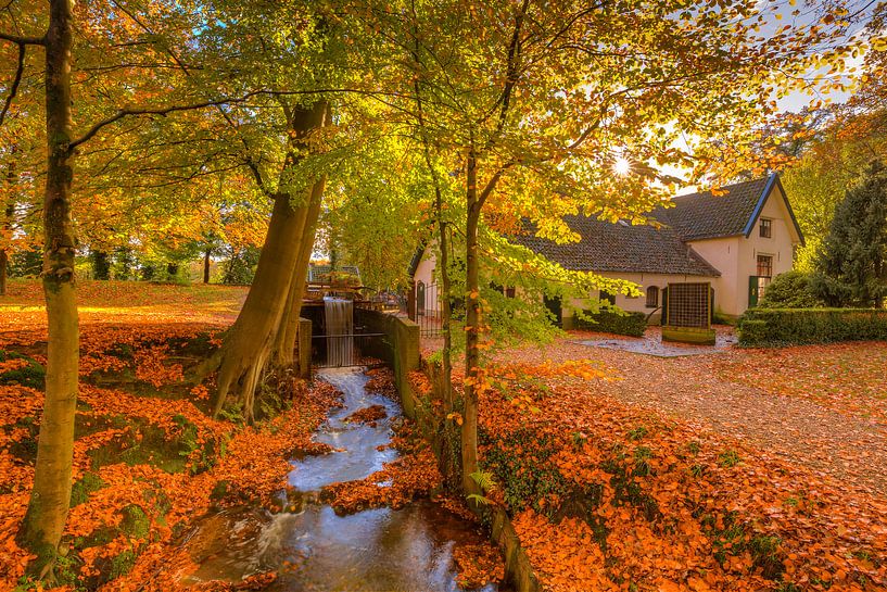 Wassermühle und Bach an einem schönen Herbsttag von Rob Kints
