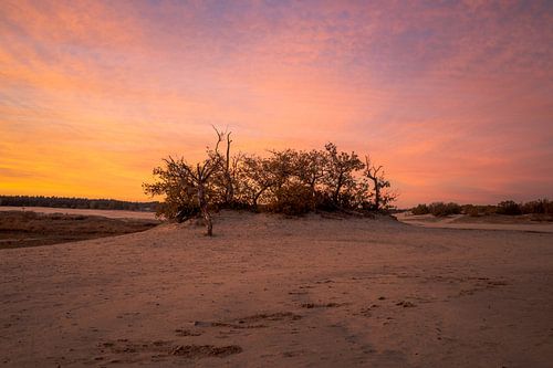 Zonsondergang Oranje Drunense Duinen