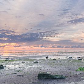 De Waddenzee bij Vatrop 5 van Rob Liefveld