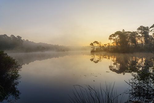 Brume dorée du matin au-dessus du Voorste Goorven
