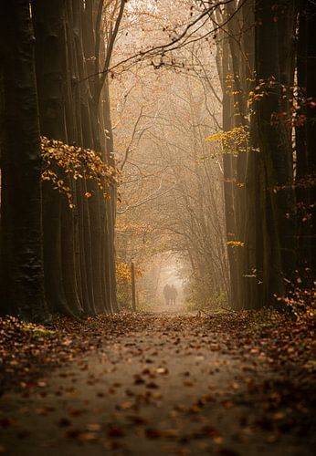 De wandelaars