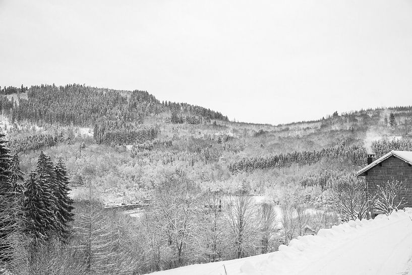 Winter in de Vogezen von Kaj Hendriks