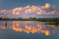 Naturschutzgebiet 't Roegwold, Groningen von Henk Meijer Photography Miniaturansicht