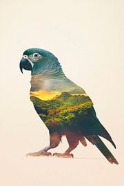 Nature in the parrot by Poster Art Shop