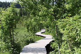 The way by Jörg Sabel - Fotografie