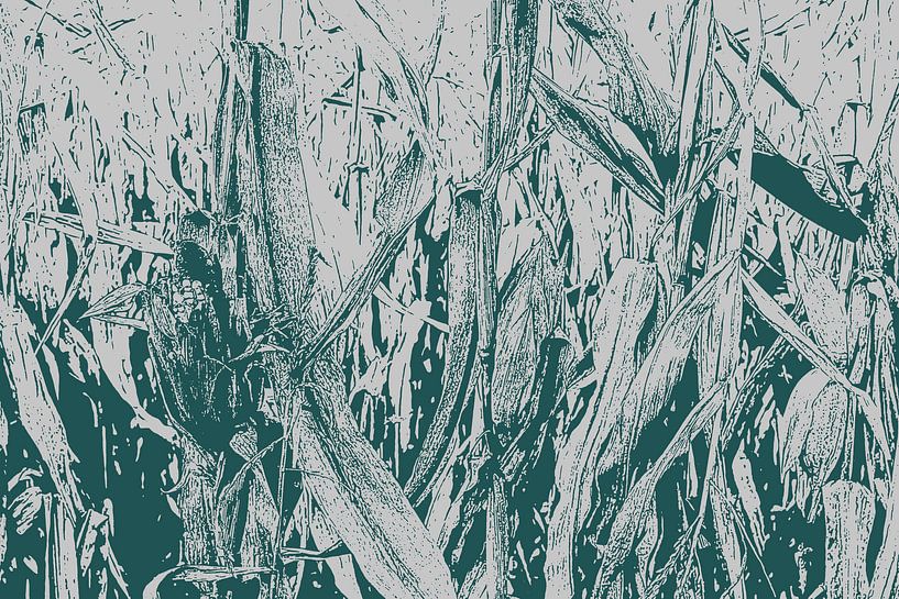 Kornfeld von Christophe Fruyt