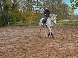 white horse and rider training on a riding arena