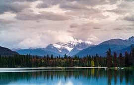 Edith to Edith by Steven Driesen