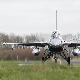 F-16 Fighting Falcon von Frank Van der Werff