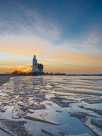 Pferd von Marken im Winter von Menno Schaefer